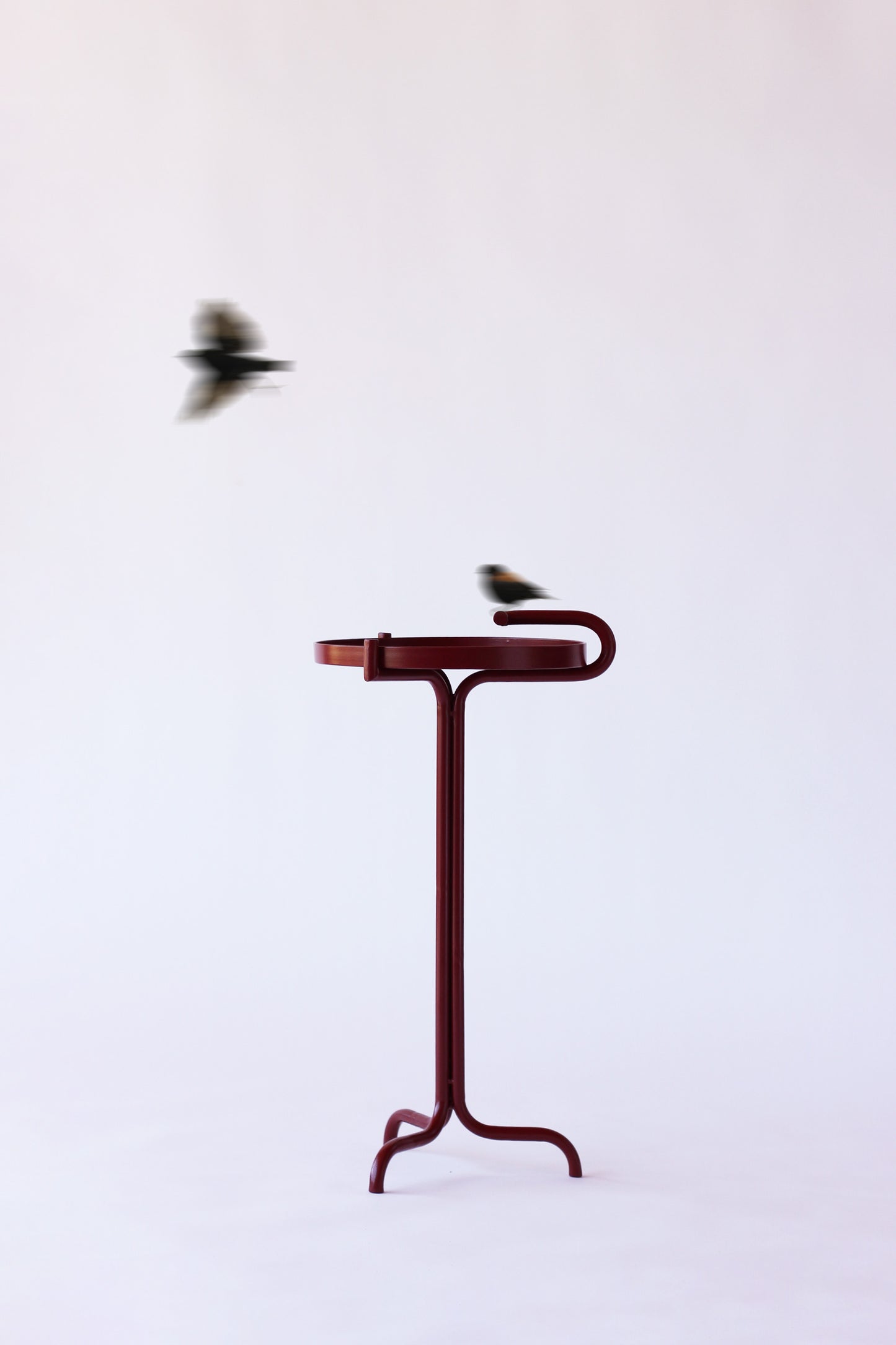 Bebedero para aves Eva